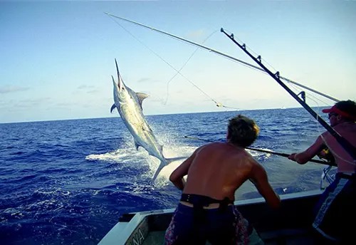 Deep Sea Fishing
