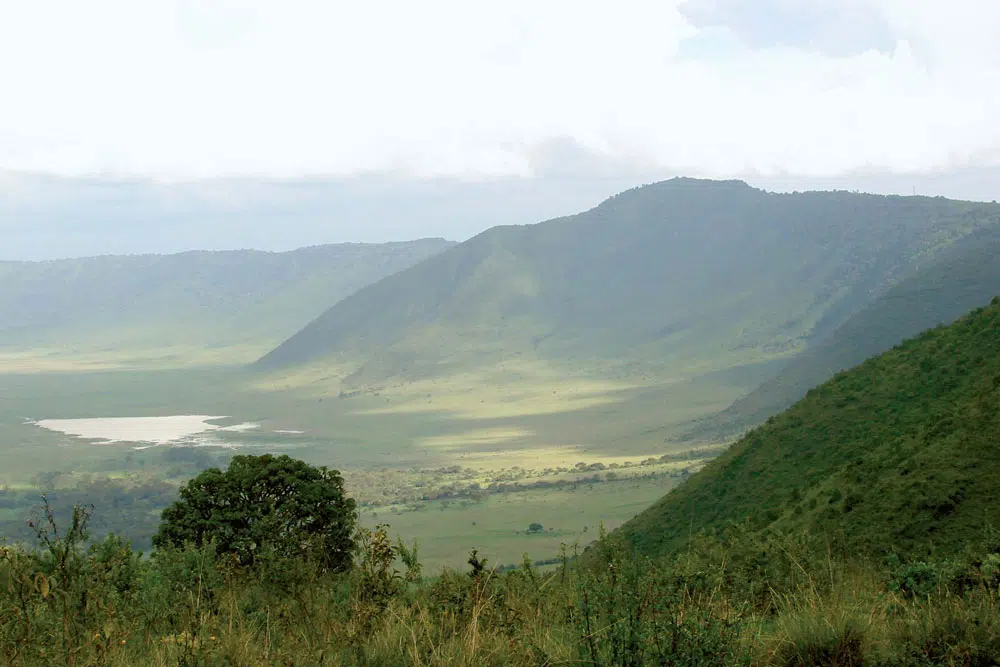 Ngorongoro Crater Tanzania