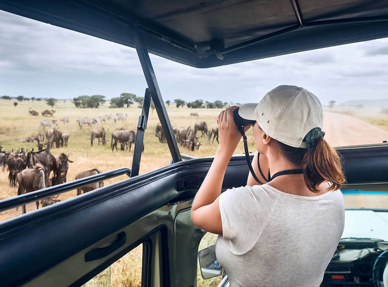 Serengeti Safari