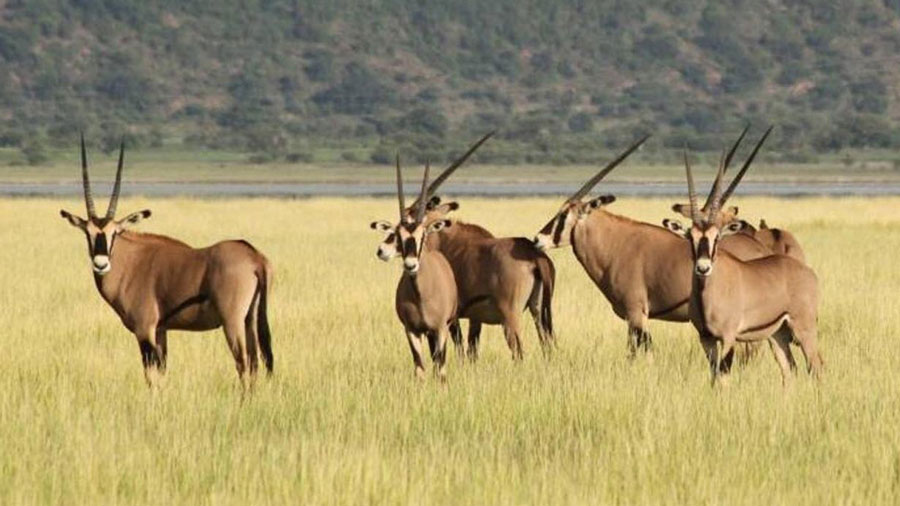 Tarangire National Park Ngorongoro Crater 1 small