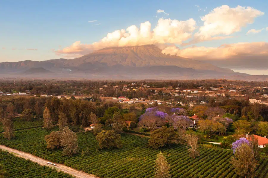 arusha tourism gateway