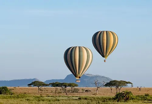 baloon safaris small