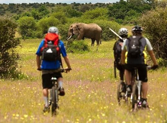 bike safari