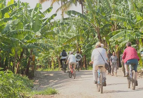 cycling and mountain biking