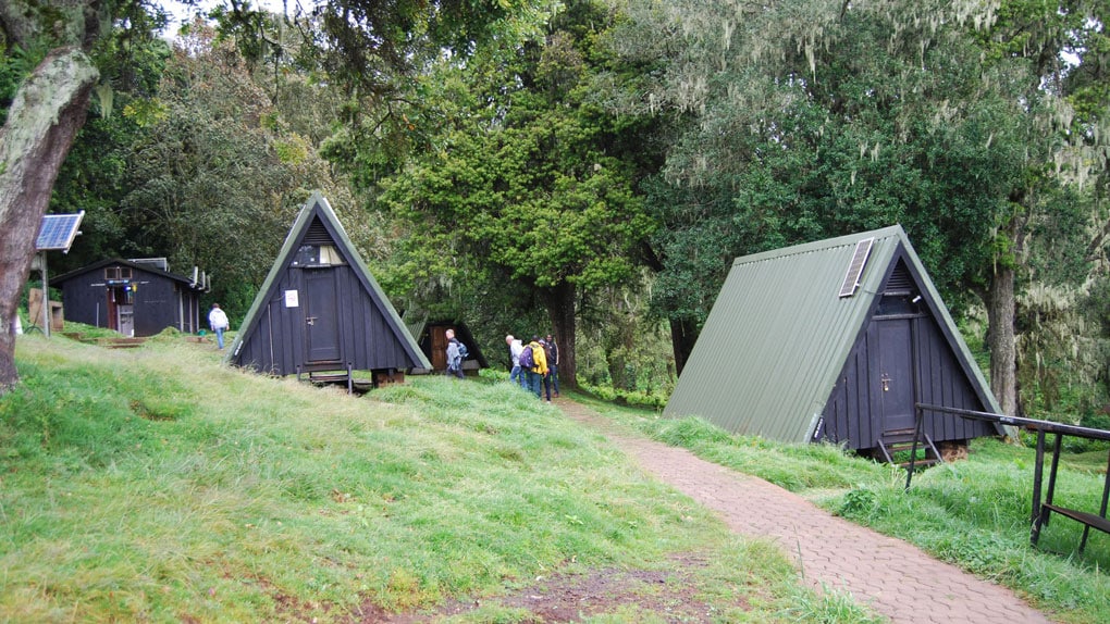 Mandara Hut Kilimanjaro