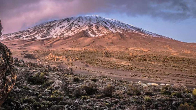 kilimanjaro shira plateau