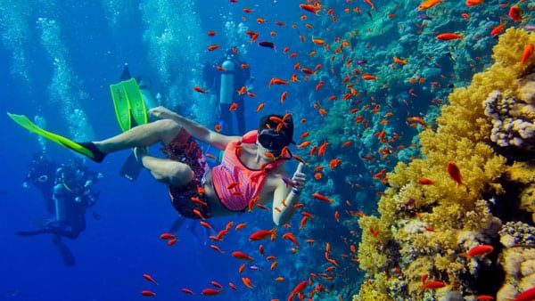 mnemba island snorkerling small