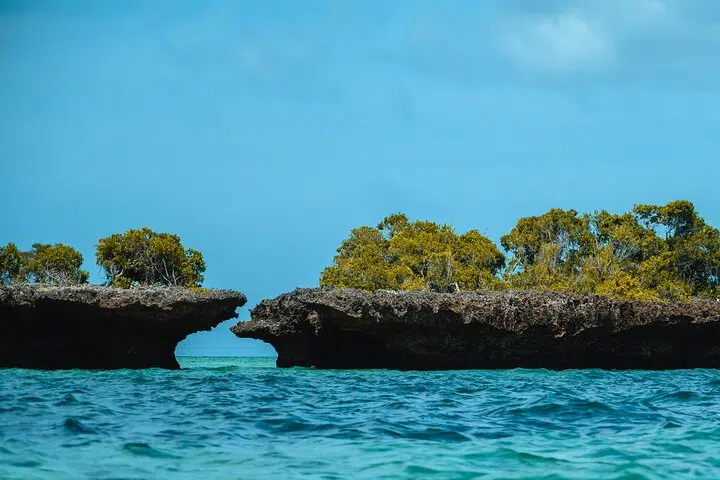 safari blue scenery