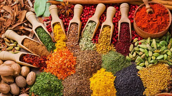 zanzibar spice tour small